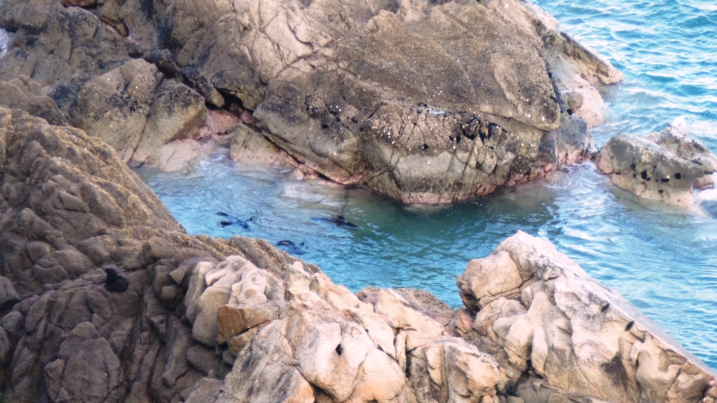 Abel Tasman (10)