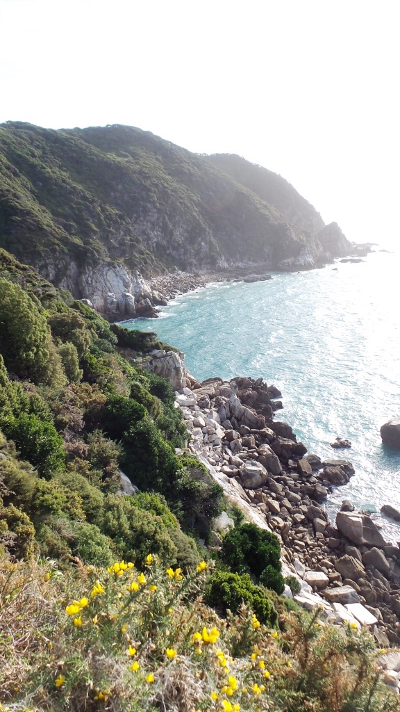 Abel Tasman (15)