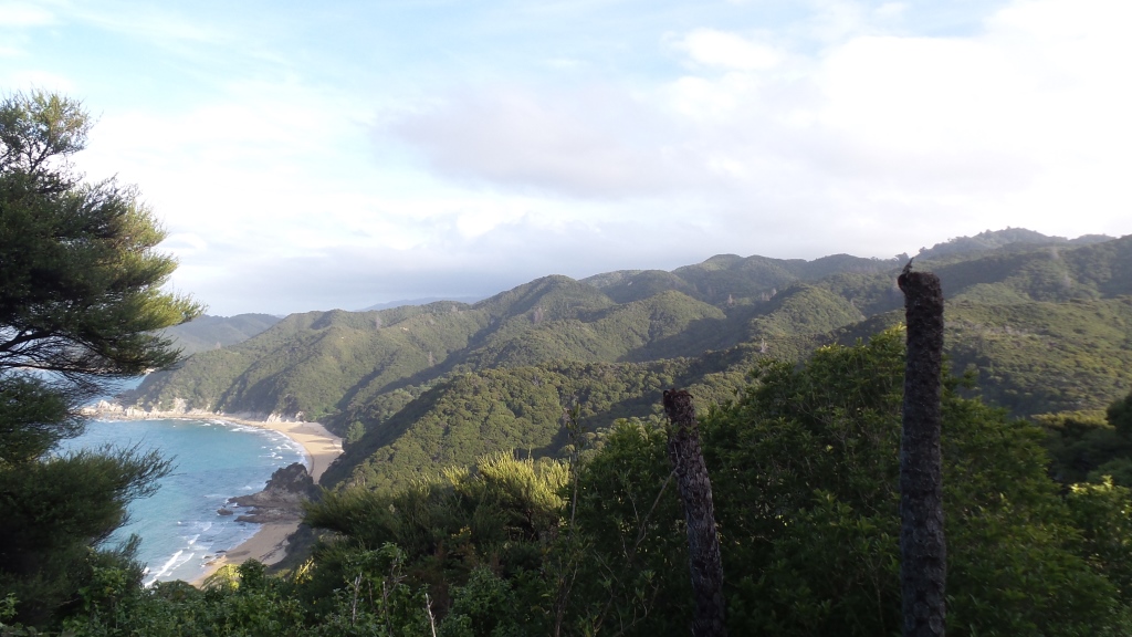 Abel Tasman (16)