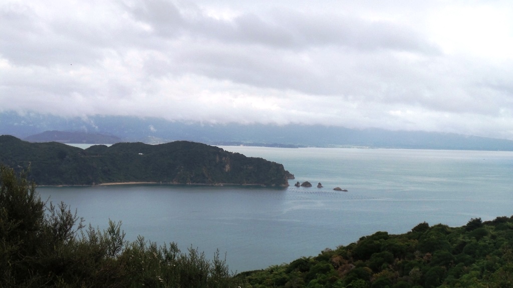 Abel Tasman (18)