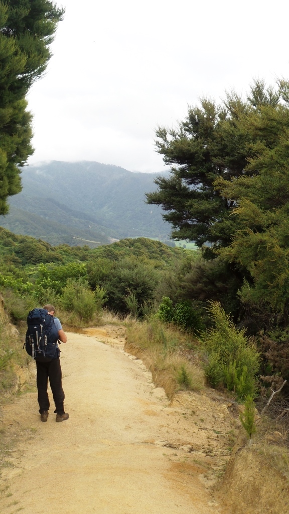 Abel Tasman (20)
