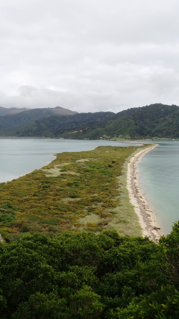 Abel Tasman (21)