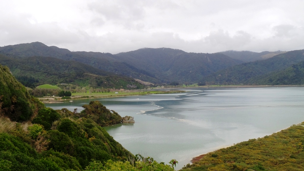 Abel Tasman (22)