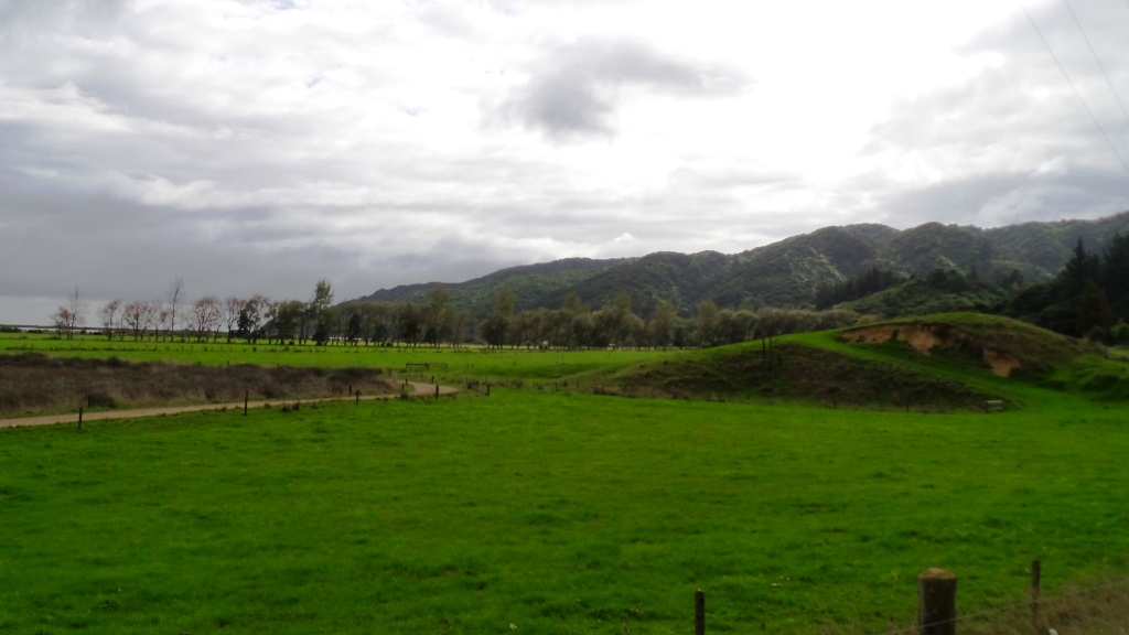 Abel Tasman (25)