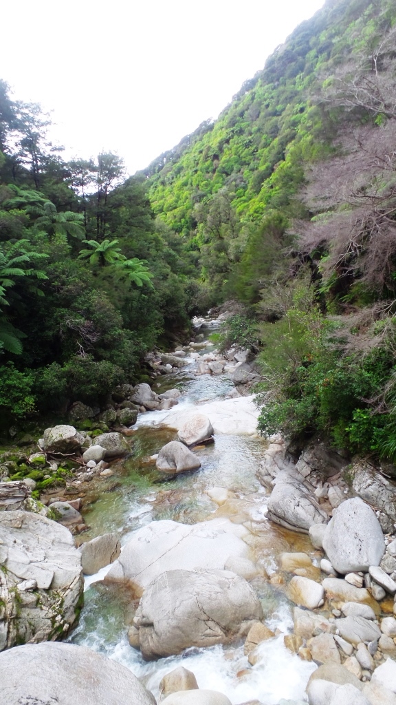 Abel Tasman (28)