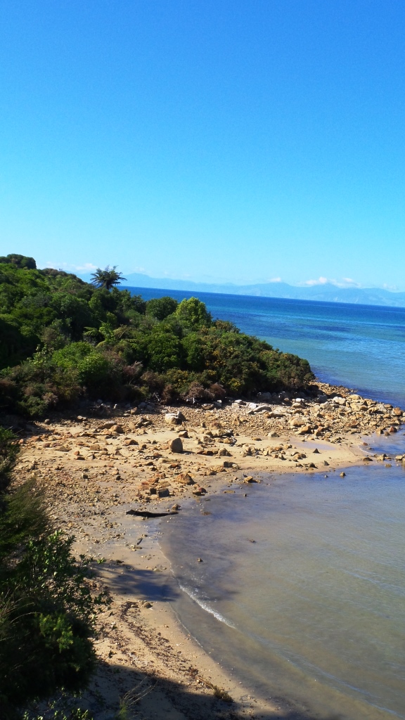 Abel Tasman (37)