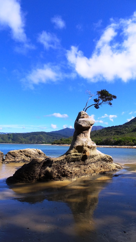 Abel Tasman (39)