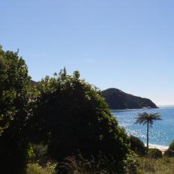 Abel Tasman (4)