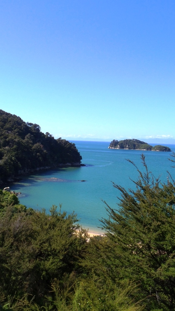 Abel Tasman (40)