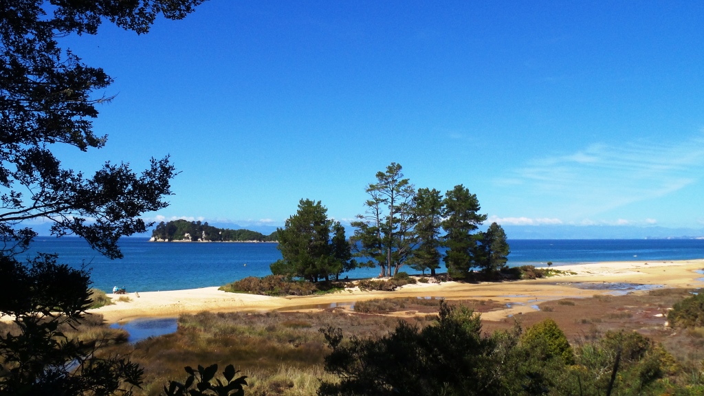Abel Tasman (41)