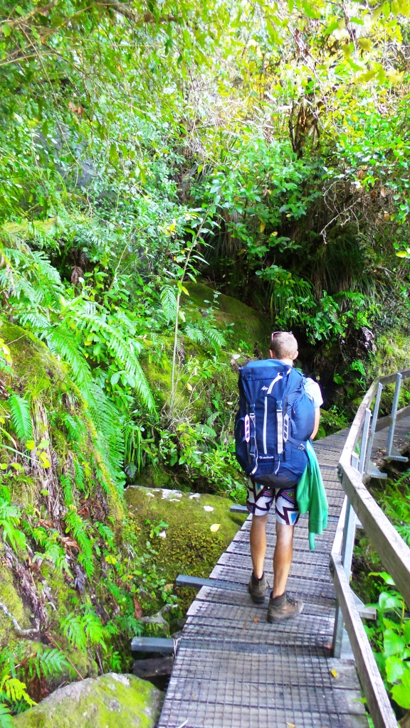 Abel Tasman (42)