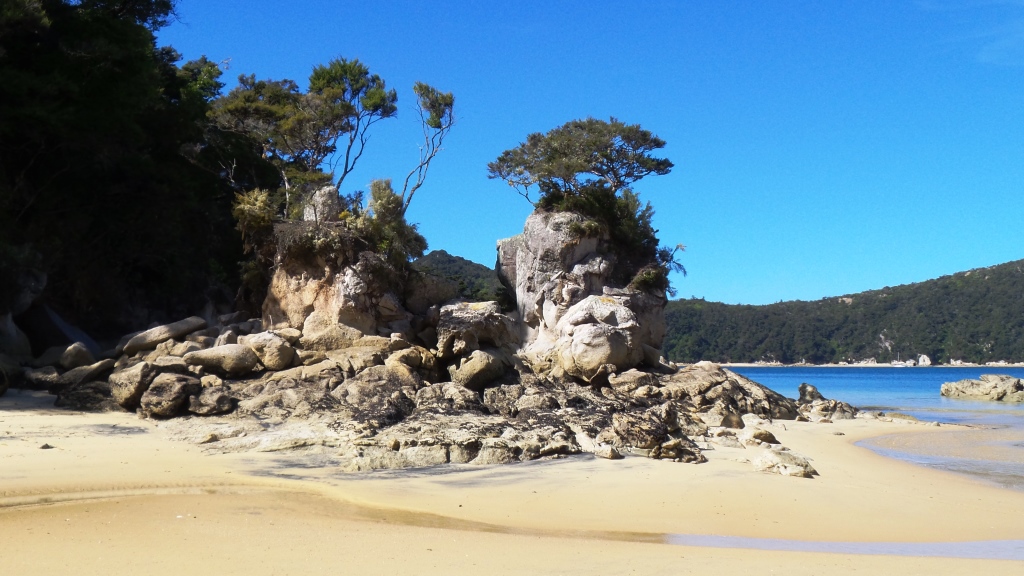 Abel Tasman (44)
