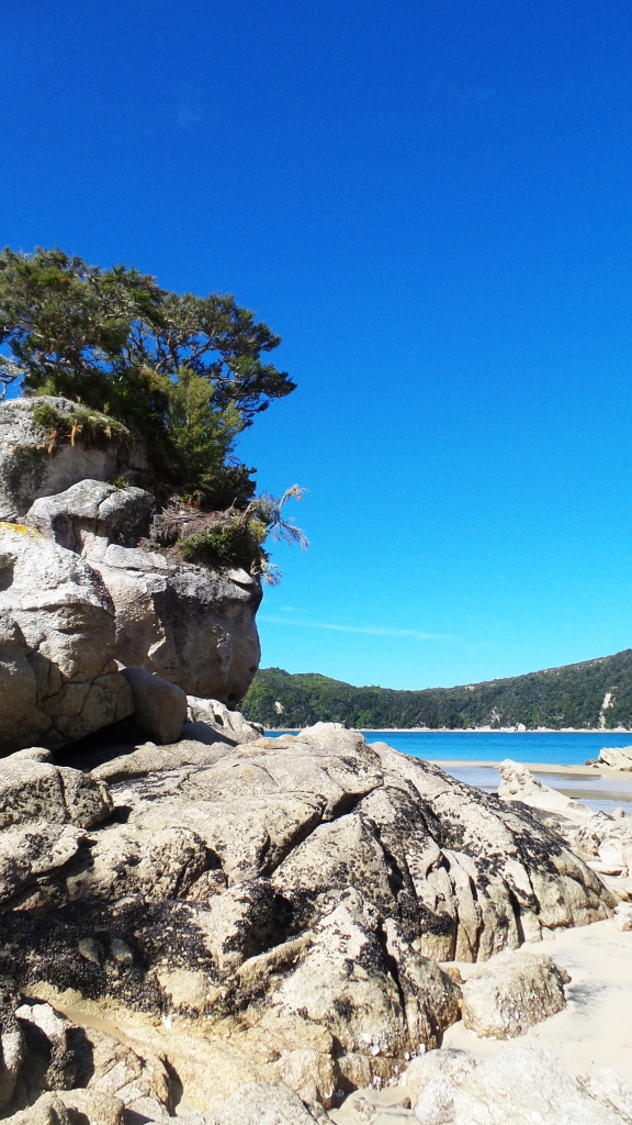 Abel Tasman (45)