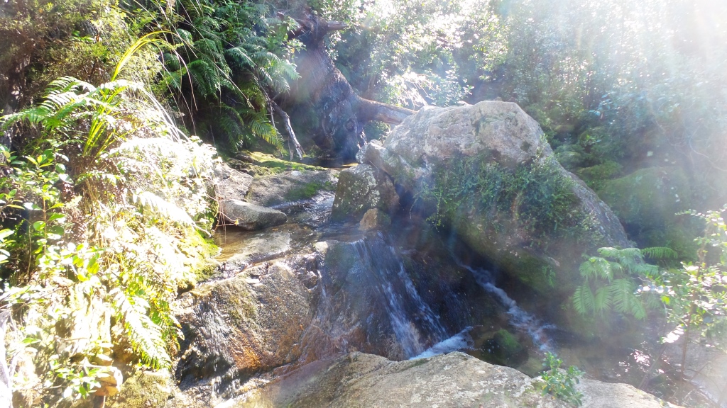 Abel Tasman (46)