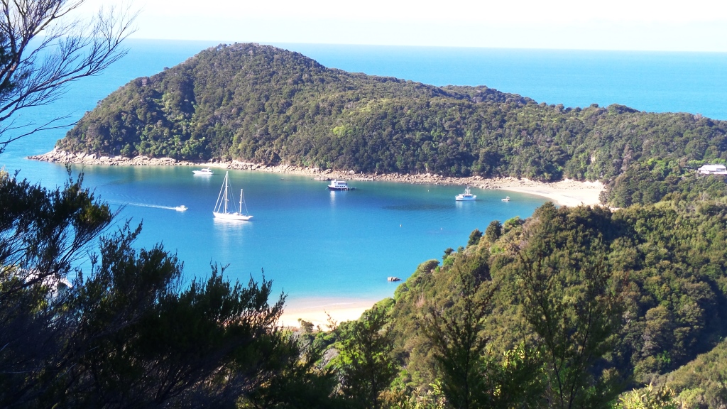Abel Tasman (47)