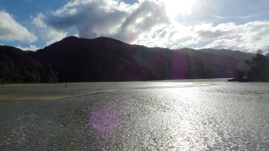 Abel Tasman (48)