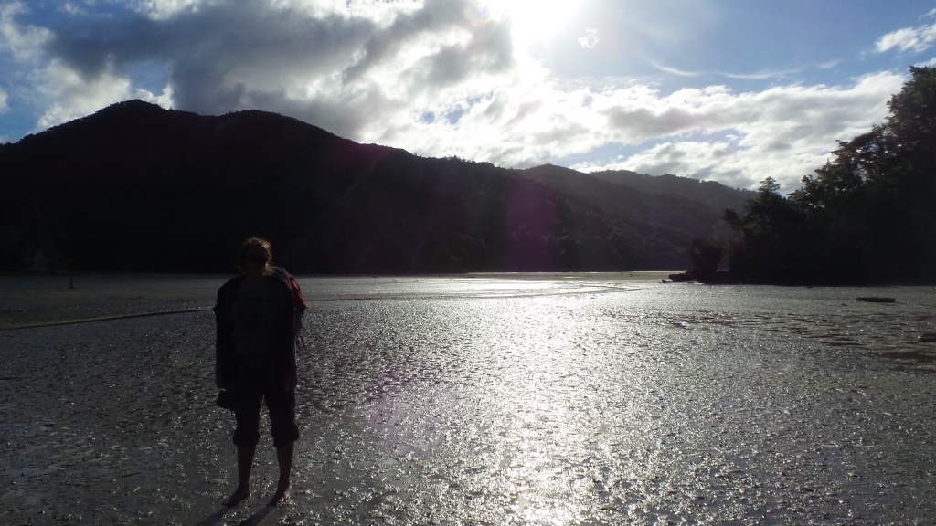 Abel Tasman (49)