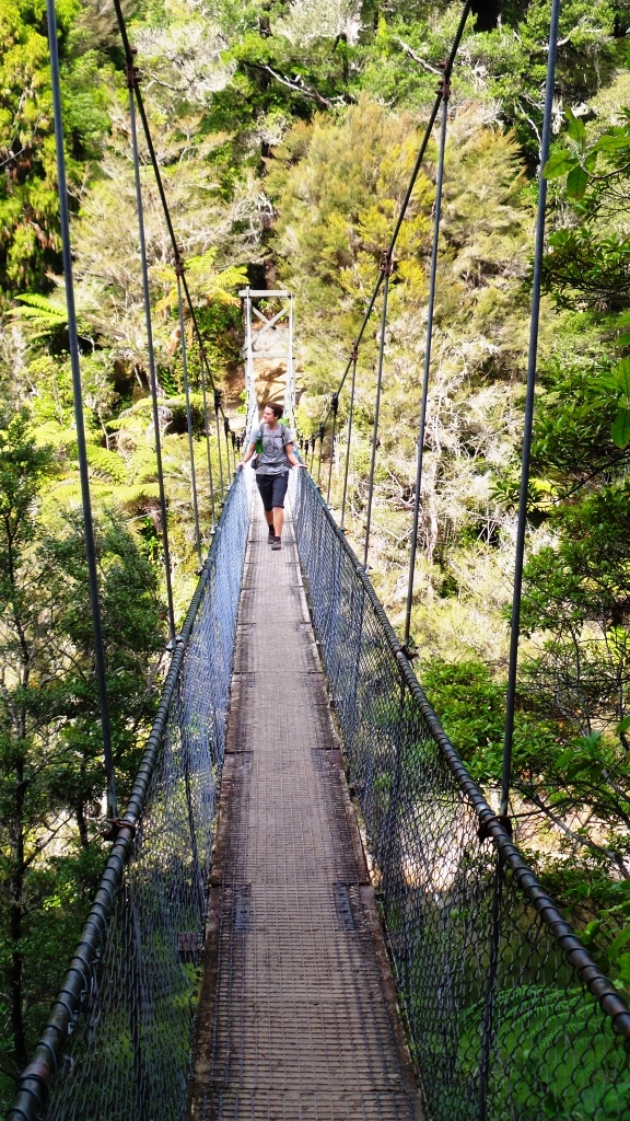 Abel Tasman (60)
