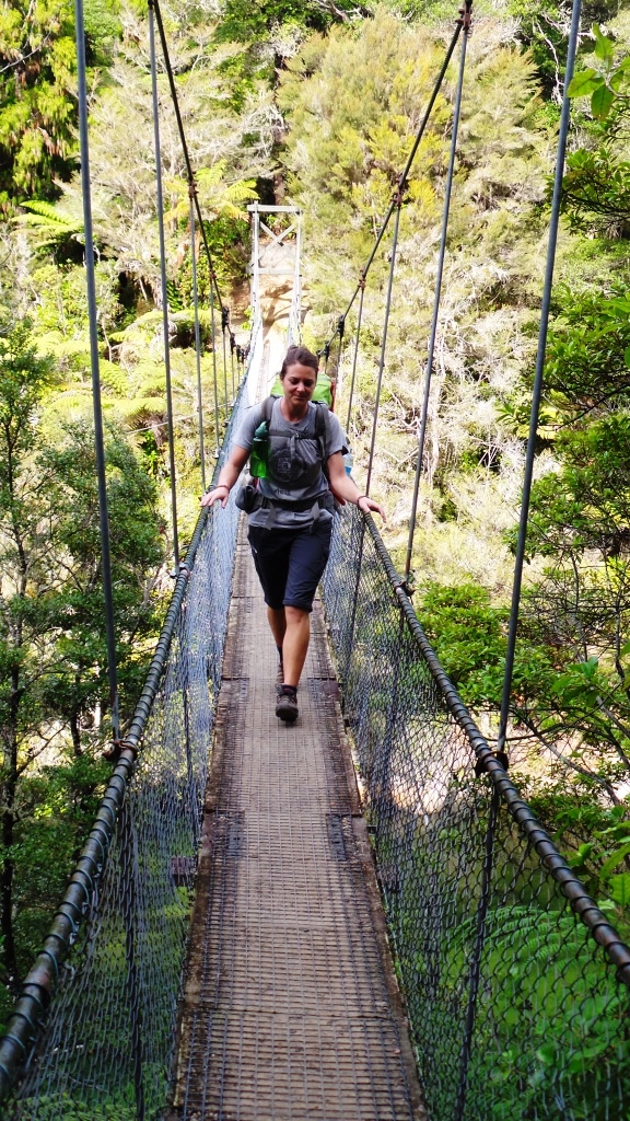 Abel Tasman (61)