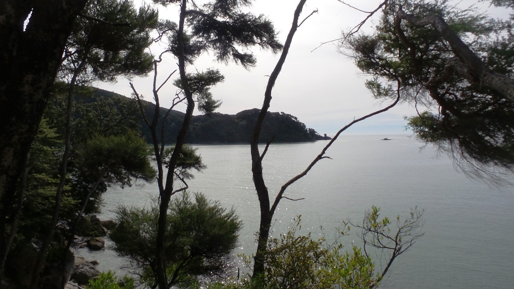 Abel Tasman (62)