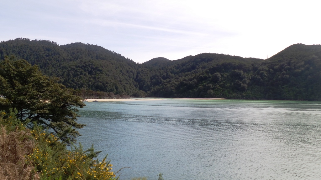 Abel Tasman (63)