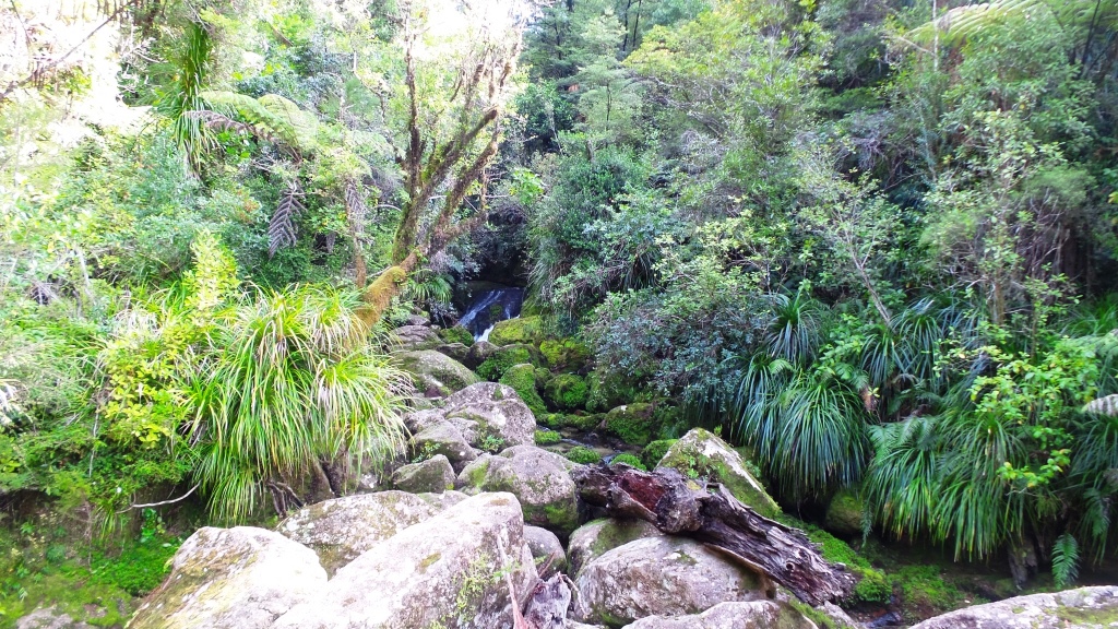 Abel Tasman (66)