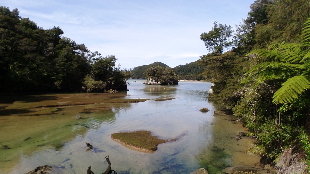 Abel Tasman (67)
