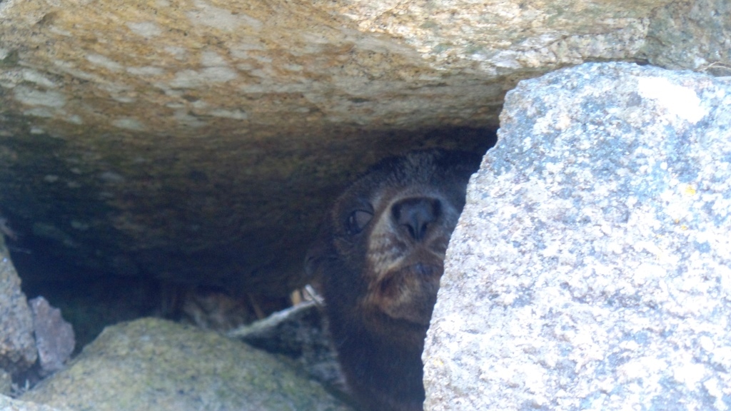 Abel Tasman (7)
