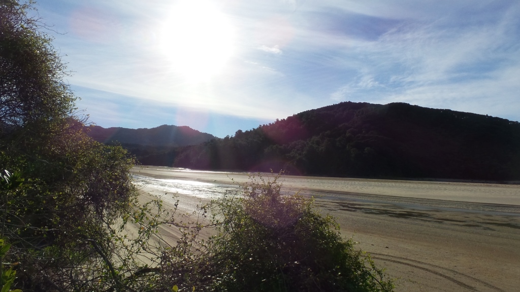 Abel Tasman (71)