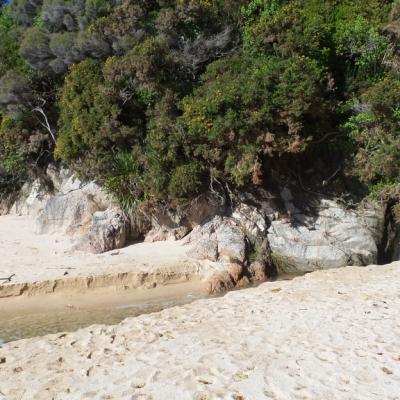 Abel Tasman