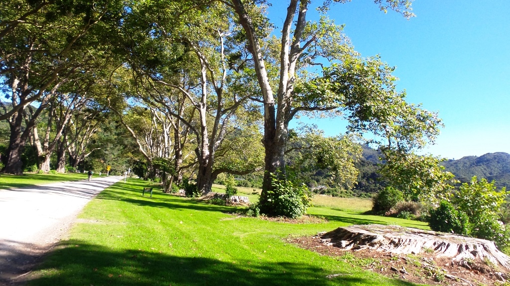 Abel Tasman (81)