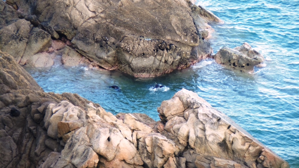 Abel Tasman (9)