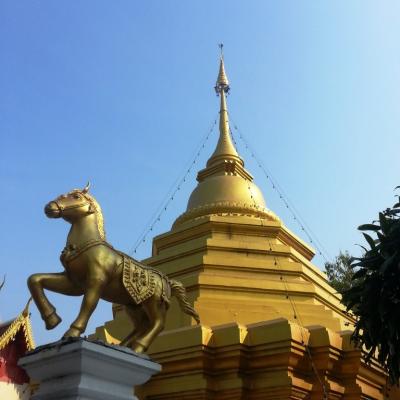 Chiang mai (1)