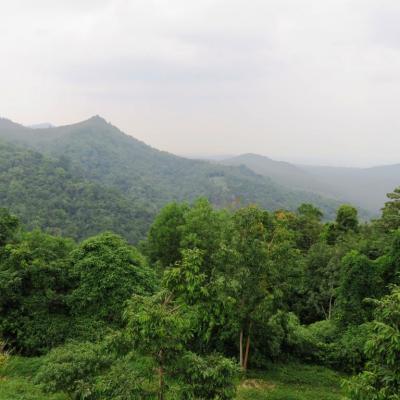 Koh Samui Cascades (3)