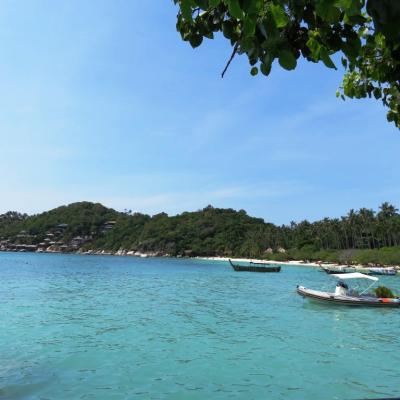 Koh Tao (3)