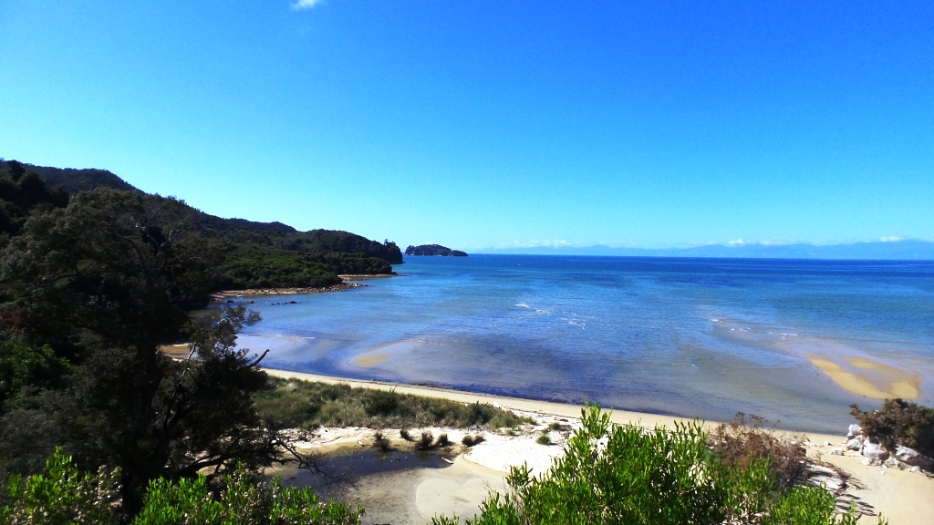 Abel tasman 36