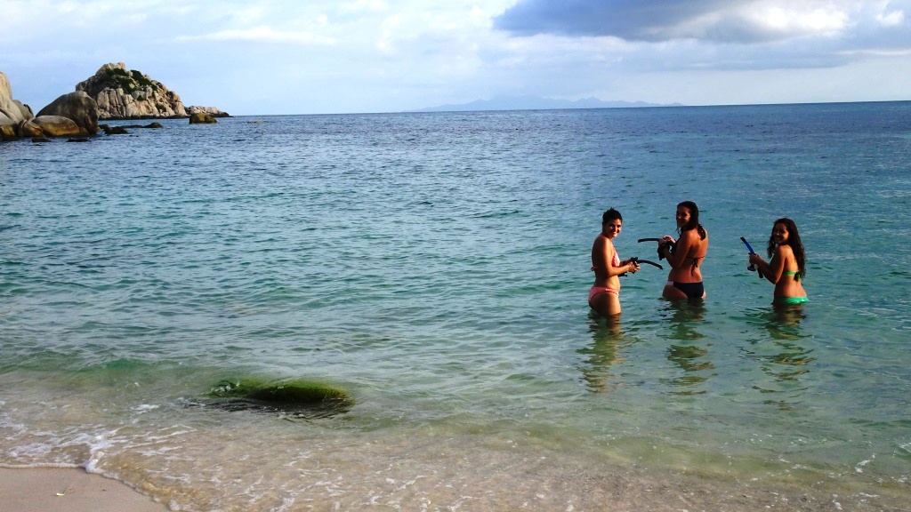 Koh tao snorkeling